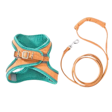 Load image into Gallery viewer, Set imbracatura e guinzaglio per animali
