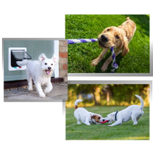 Load image into Gallery viewer, Gattaiola - Ozerty
