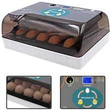 Carica l&#39;immagine nel visualizzatore di Gallery, Incubatrice automatica digitale per uova - Ozayti
