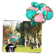 Load image into Gallery viewer, Giocattolo per cani palla frisbee
