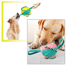 Load image into Gallery viewer, Giocattolo per cani palla frisbee - Ozerty
