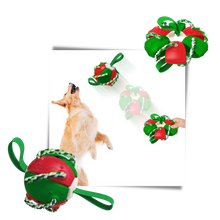 Load image into Gallery viewer, Giocattolo per cani palla frisbee - Ozerty
