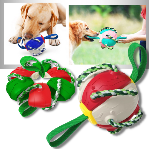 Giocattolo per cani palla frisbee - Ozerty