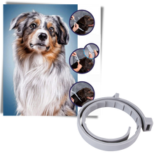 Load image into Gallery viewer, Collare antipulci per animali domestici - Ozerty
