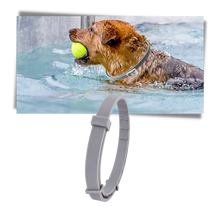Load image into Gallery viewer, Collare antipulci per animali domestici - Ozerty
