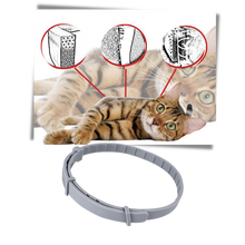 Load image into Gallery viewer, Collare antipulci per animali domestici - Ozerty

