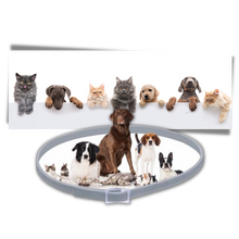 Load image into Gallery viewer, Collare antipulci per animali domestici
