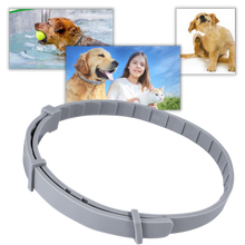 Load image into Gallery viewer, Collare antipulci per animali domestici - Ozerty
