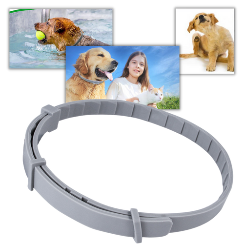 Collare antipulci per animali domestici - Ozerty