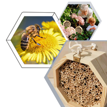 Load image into Gallery viewer, Casa delle api in legno esagonale - Ozerty
