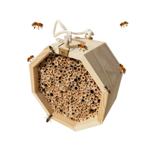 Load image into Gallery viewer, Casa delle api in legno esagonale - Ozerty
