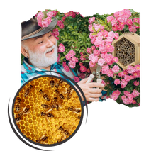 Load image into Gallery viewer, Casa delle api in legno esagonale - Ozerty
