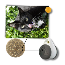 Carica l&#39;immagine nel visualizzatore di Gallery, Palla giocattolo interattiva per gatti - Ozerty
