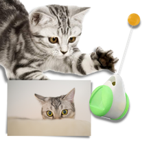 Carica l&#39;immagine nel visualizzatore di Gallery, Palla giocattolo interattiva per gatti - Ozerty
