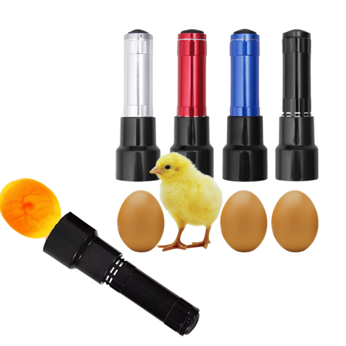 Torcia a candela per uova - Ozayti