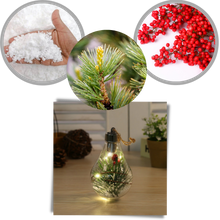 Carica l&#39;immagine nel visualizzatore di Gallery, Lampadina a sfera di Natale trasparente a LED - Ozerty
