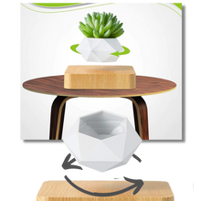 Load image into Gallery viewer, Vaso per piante fluttuante - Ozerty
