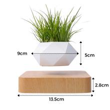 Load image into Gallery viewer, Vaso per piante fluttuante - Ozerty
