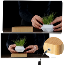 Load image into Gallery viewer, Vaso per piante fluttuante - Ozerty
