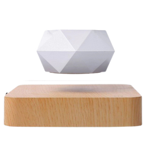 Load image into Gallery viewer, Vaso per piante fluttuante - Ozerty
