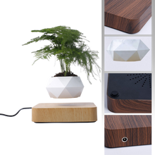 Load image into Gallery viewer, Vaso per piante fluttuante
