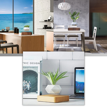 Load image into Gallery viewer, Vaso per piante fluttuante - Ozerty
