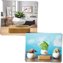 Load image into Gallery viewer, Vaso per piante fluttuante - Ozerty
