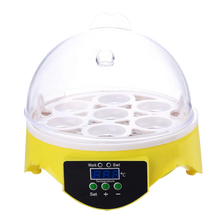 Load image into Gallery viewer, Mini incubatrice automatica per uova - ozayti

