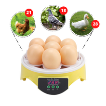 Load image into Gallery viewer, Mini incubatrice automatica per uova - ozayti
