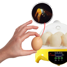 Load image into Gallery viewer, Mini incubatrice automatica per uova - ozayti
