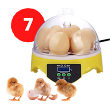 Load image into Gallery viewer, Mini incubatrice automatica per uova - ozayti
