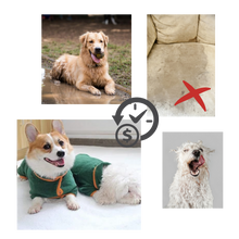 Load image into Gallery viewer, Accappatoio per animali super assorbente  - Ozerty
