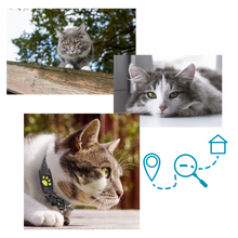 Load image into Gallery viewer, Collare di localizzazione GPS per animali domestici
