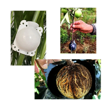 Load image into Gallery viewer, Confezione da 3 scatole per piante a stratificazione aerea - Ozerty
