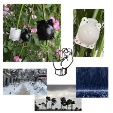 Load image into Gallery viewer, Confezione da 3 scatole per piante a stratificazione aerea
