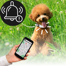 Load image into Gallery viewer, Collare di localizzazione GPS per animali domestici - Ozerty
