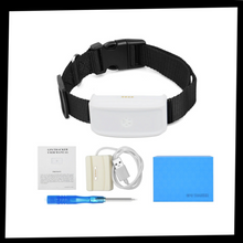 Load image into Gallery viewer, Collare di localizzazione GPS per animali domestici - Ozerty

