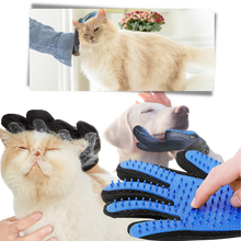 Carica l&#39;immagine nel visualizzatore di Gallery, Guanti da toelettatura per animali (paio) - Ozerty
