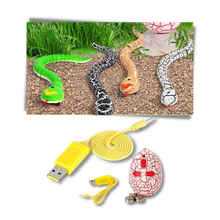 Load image into Gallery viewer, Giocattolo a serpente interattivo telecomandato per gatto - Ozerty

