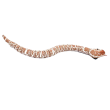 Load image into Gallery viewer, Giocattolo a serpente interattivo telecomandato per gatto
