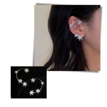 Load image into Gallery viewer, Coppia di orecchini alla moda con zirconi - Ozerty
