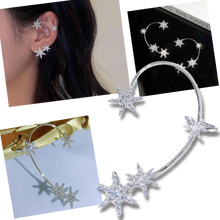 Load image into Gallery viewer, Coppia di orecchini alla moda con zirconi - Ozerty
