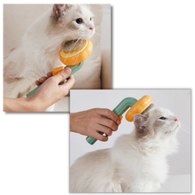 Load image into Gallery viewer, Spazzola per animali autopulente a forma di zucca - Ozerty
