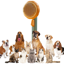 Load image into Gallery viewer, Spazzola per animali autopulente a forma di zucca - Ozerty
