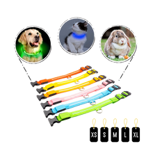 Load image into Gallery viewer, Collare per animali con luce LED ricaricabile USB - Ozerty
