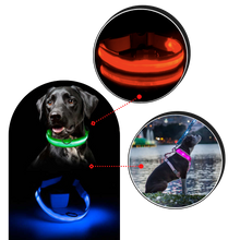 Load image into Gallery viewer, Collare per animali con luce LED ricaricabile USB - Ozerty
