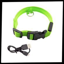 Load image into Gallery viewer, Collare per animali con luce LED ricaricabile USB - Ozerty

