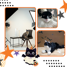 Load image into Gallery viewer, Adorabile maschera da gatto di Batman - Ozerty
