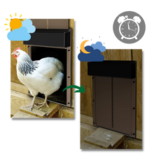 Carica l&#39;immagine nel visualizzatore di Gallery, Porta automatica per pollaio - Ozerty
