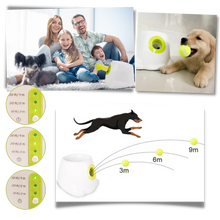 Carica l&#39;immagine nel visualizzatore di Gallery, Lanciatore automatico di palline per cani - Ozerty
